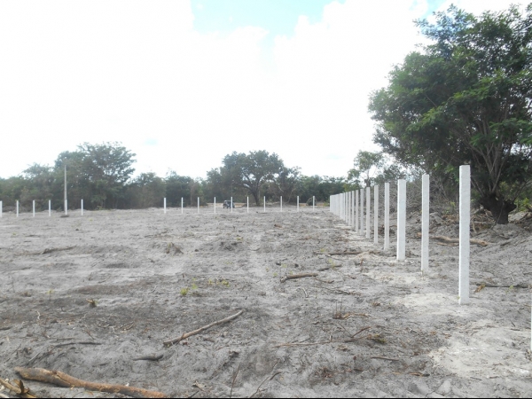 Obra do Matadouro Público de Boa Hora já esta em estado avançado - Imagem 2