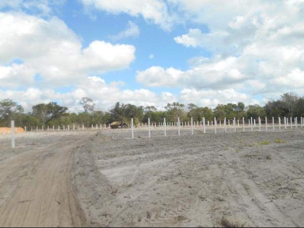 Obra do Matadouro Público de Boa Hora já esta em estado avançado - Imagem 5