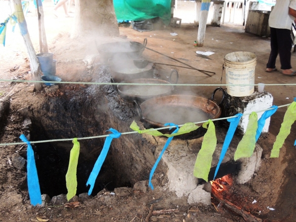 Turistas prestigiam Sitio Buritizinho no Festival de Inverno - Imagem 5