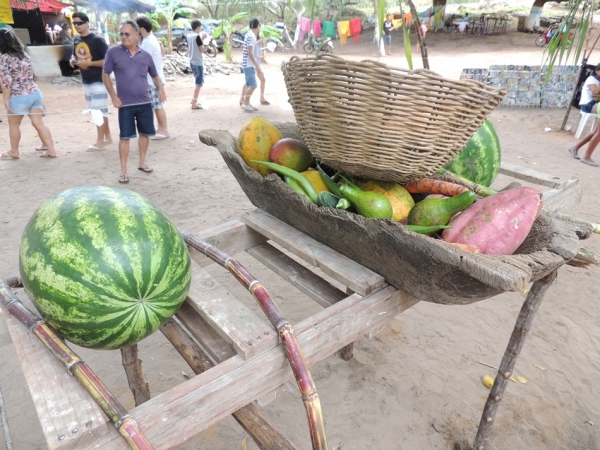 Turistas prestigiam Sitio Buritizinho no Festival de Inverno - Imagem 31
