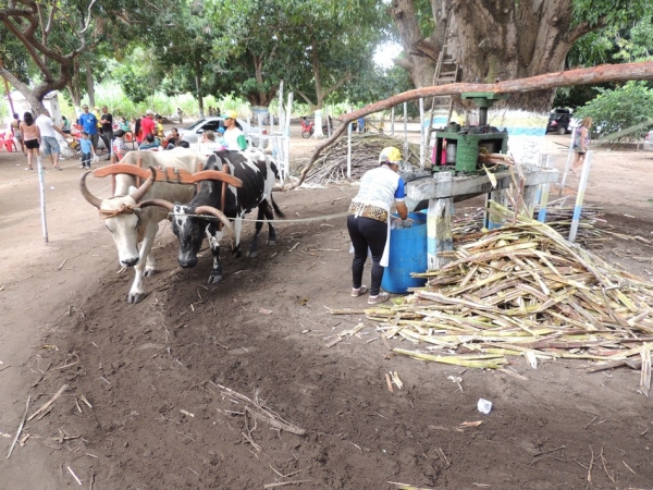 Turistas prestigiam Sitio Buritizinho no Festival de Inverno - Imagem 30