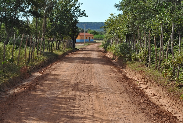 Prefeitura de Cocal intensifica os trabalhos de reforma e construção de estradas vicinais - Imagem 1