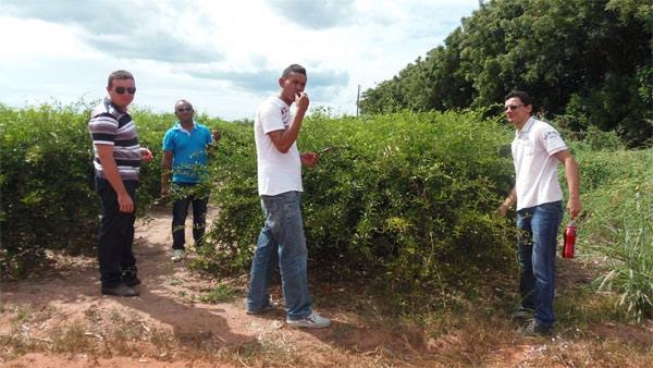 Alunos do Pronatec/UFPI participaram de aula prática na cidade de Parnaíba - Imagem 4