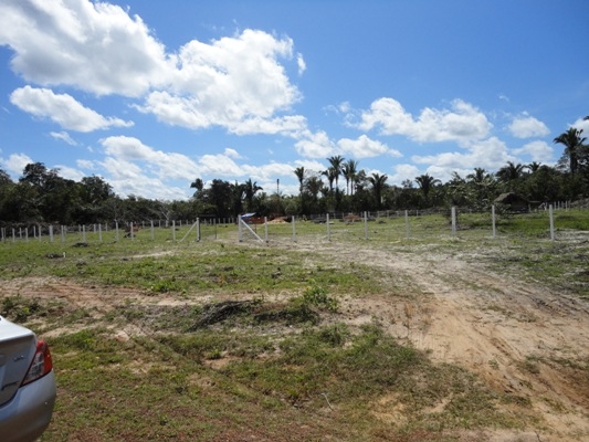 Prefeito Tintin realiza obras - Imagem 3