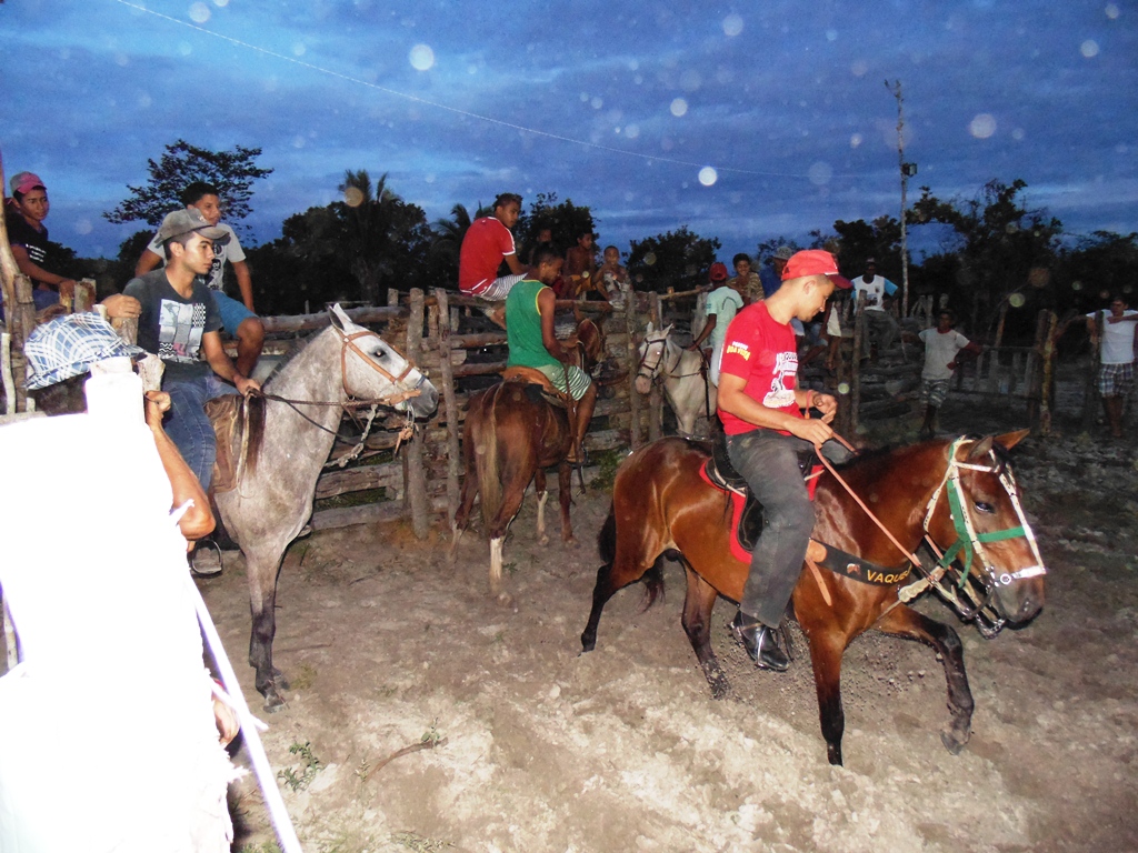 Hoje acontecerá grande vaquejada do parque Loira Bonita