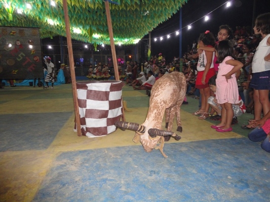 XVIII Festival Junino Cidade São Jacó; último dia de competições - Imagem 17