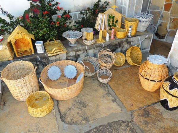 Prefeitura realiza a Semana do Meio Ambiente  - Imagem 6