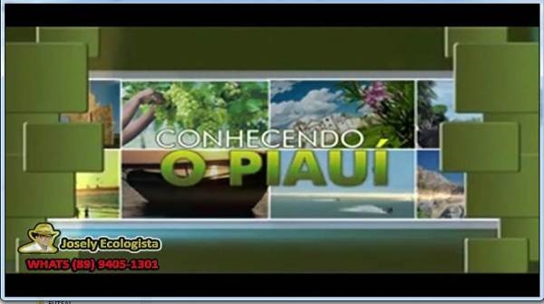 Dom Expedito Lopes foi destaque no Quadro Conhecendo o Piauí no Programa Cidades da TV Meio Norte. - Imagem 1