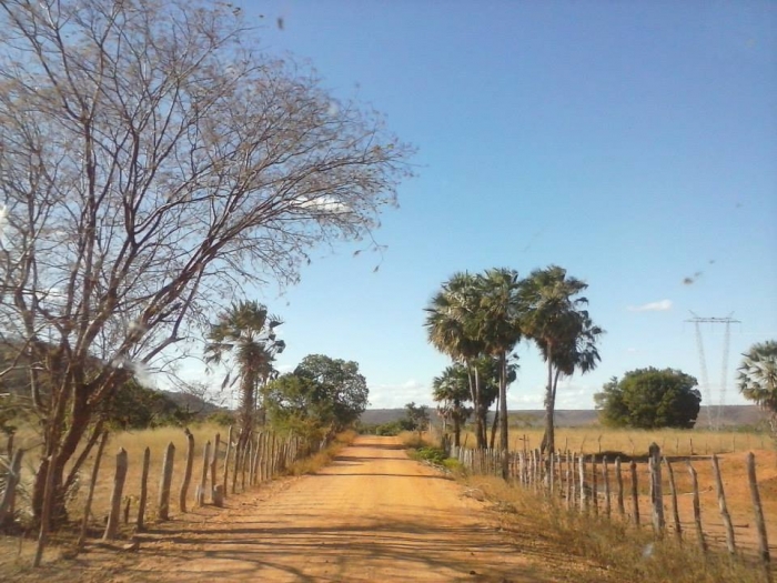 Prefeito acompanha conclusão da estrada que liga o município à Aroeiras do Itaim - Imagem 12