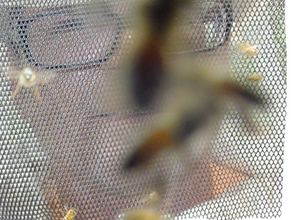 Dom Expedito Lopes estará presente na primeira atividade do projeto o Seminário de socialização e mobilização de projeto de patrocínio com a PETROBRAS - Imagem 7