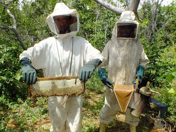 Dom Expedito Lopes estará presente na primeira atividade do projeto o Seminário de socialização e mobilização de projeto de patrocínio com a PETROBRAS - Imagem 13