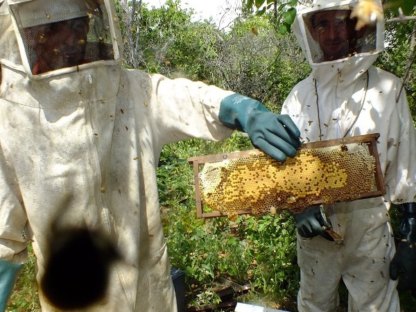 Dom Expedito Lopes estará presente na primeira atividade do projeto o Seminário de socialização e mobilização de projeto de patrocínio com a PETROBRAS - Imagem 11