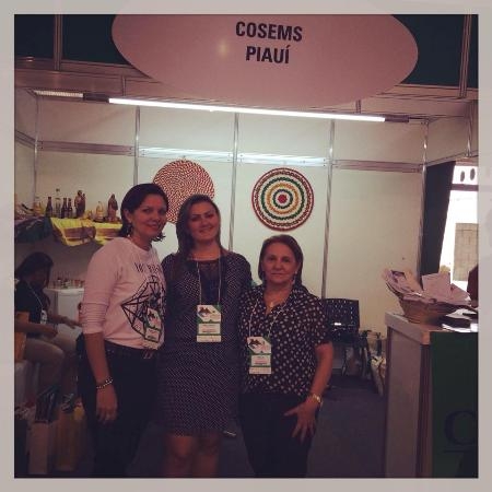 Secretária de Saúde de Santa Rosa participa de Congresso em Espírito Santo - Imagem 4