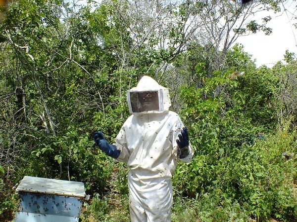 Dom Expedito Lopes estará presente na primeira atividade do projeto o Seminário de socialização e mobilização de projeto de patrocínio com a PETROBRAS - Imagem 10