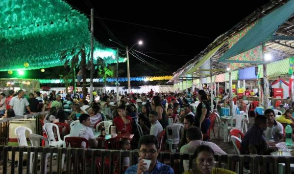 “X Festival Cultural dos Cocais” se despede de 2014 contabilizando o maior público de sua historia - Imagem 10