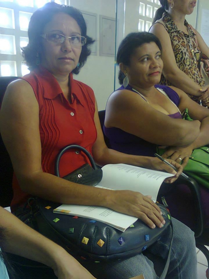 Conselheiros participa de treinamento em Valença-PI - Imagem 1