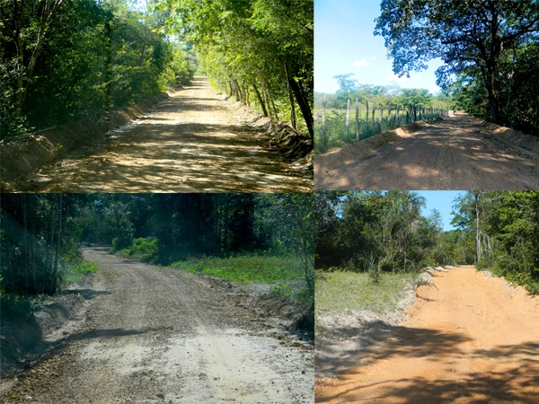 Comunidades da zona rural de Brasileira foram beneficiadas com recuperação de estradas - Imagem 8