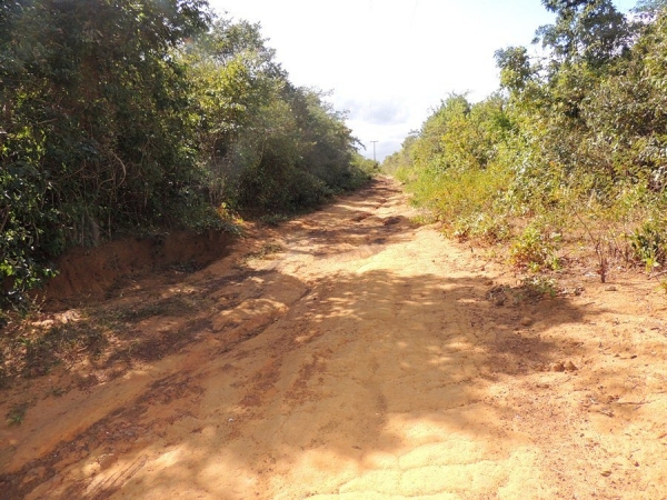Prefeitura realiza sonho antigo de moradores com recuperação de estradas - Imagem 1