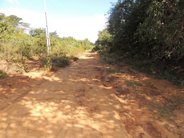 Prefeitura realiza sonho antigo de moradores com recuperação de estradas - Imagem 2