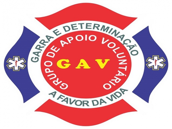 Câmara de vereadores aprova GAV como grupo de apoio de utilidade pública - Imagem 1