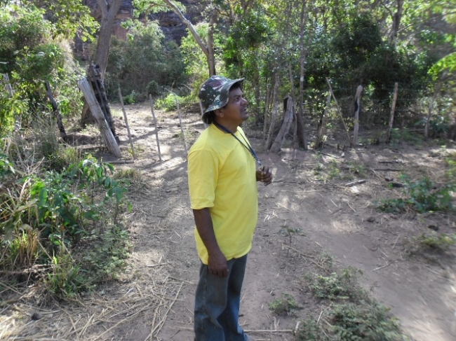 Estudiosos começam a visitar/pesquisar pinturas rupestres em Redenção do Gurguéia - Imagem 10