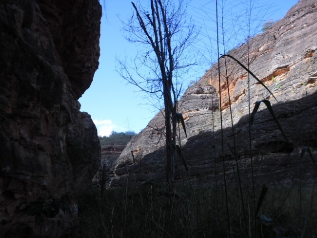 Estudiosos começam a visitar/pesquisar pinturas rupestres em Redenção do Gurguéia - Imagem 17