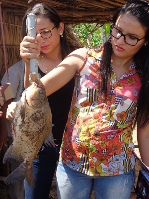 Secretário de Agricultura e especialista em Piscicultura realizam fisioquímica e biometria dos peixes - Imagem 2