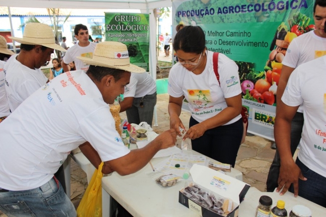 Sementes raras e exóticas são mostradas no I Festival das Sementes da Fartura, realizado no município de Pedro II - Imagem 1