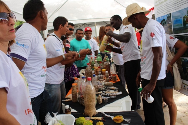 Sementes raras e exóticas são mostradas no I Festival das Sementes da Fartura, realizado no município de Pedro II - Imagem 21