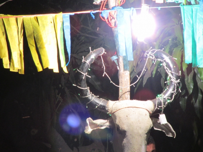 VII Rodeio de Vaquejada Tuna Brito Termina em Grande Estilo - Imagem 75