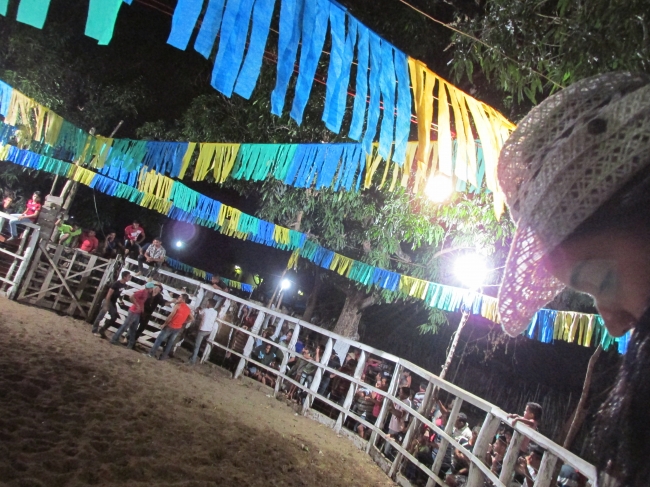 VII Rodeio de Vaquejada Tuna Brito Termina em Grande Estilo - Imagem 74