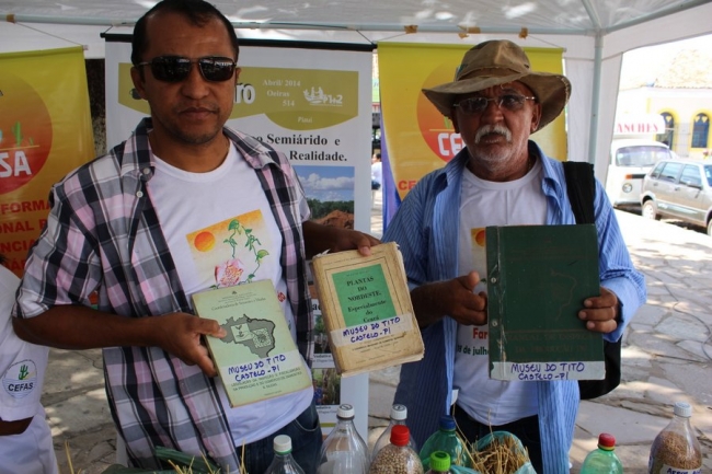 Sementes raras e exóticas são mostradas no I Festival das Sementes da Fartura, realizado no município de Pedro II - Imagem 14