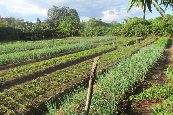 Raimundo do PT participa do lançamento do Projeto “Toca Piauí” na Cidade de Pedro II - Imagem 8