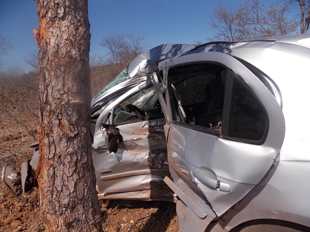 Motorista sai da pista bate em árvore e morre na PI-119 - Imagem 27