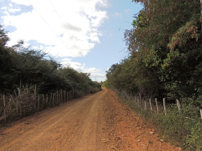 Prefeitura promove melhoria na estrada da Barroca - Imagem 9