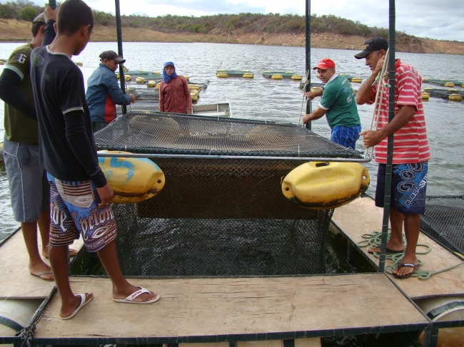Conceição do Canindé Bate Recorde na Agricultura Familiar  - Imagem 19