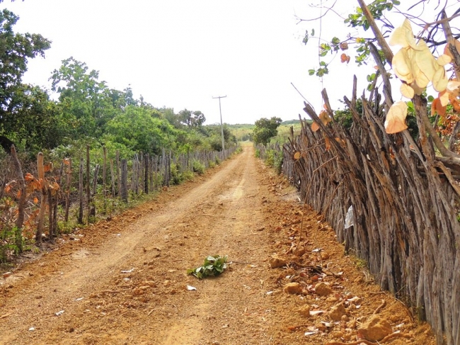 Prefeitura promove melhoria na estrada da Barroca - Imagem 10