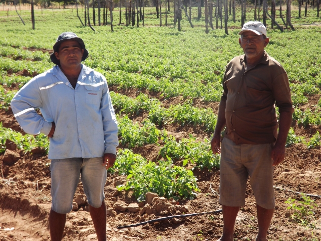 Conceição do Canindé Bate Recorde na Agricultura Familiar  - Imagem 9