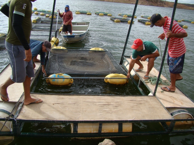 Conceição do Canindé Bate Recorde na Agricultura Familiar  - Imagem 11