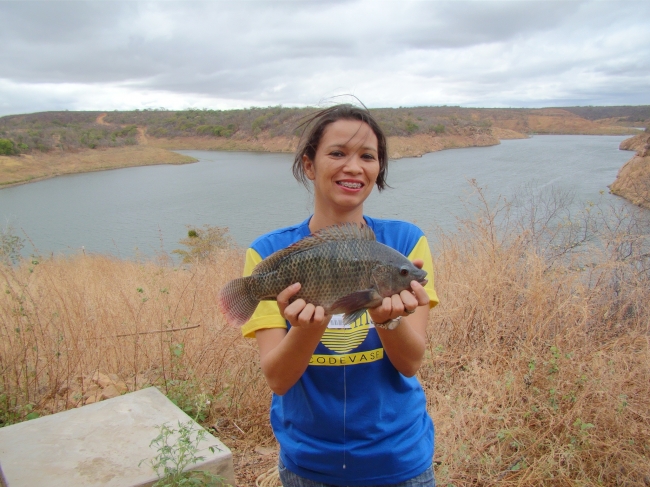Conceição do Canindé Bate Recorde na Agricultura Familiar  - Imagem 5