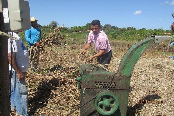 Prefeito Manin Geronço prestigia a preparação da primeira Ensilagem do município de Porto - Imagem 1