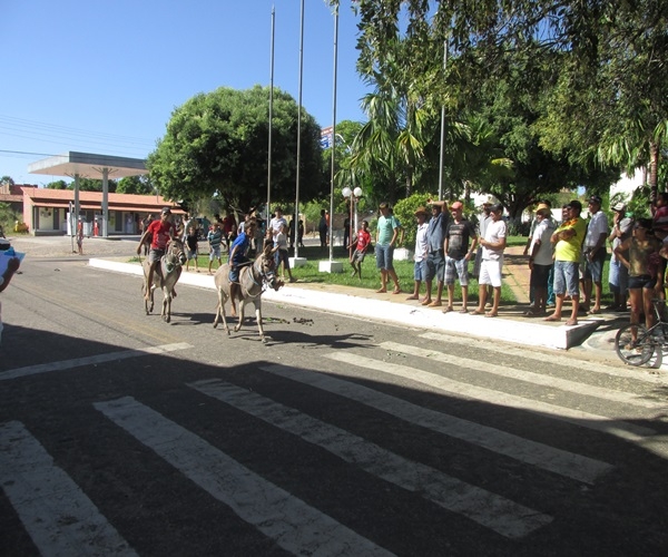 XXIV Semana Cultural: Corrida de Jegue - Imagem 14