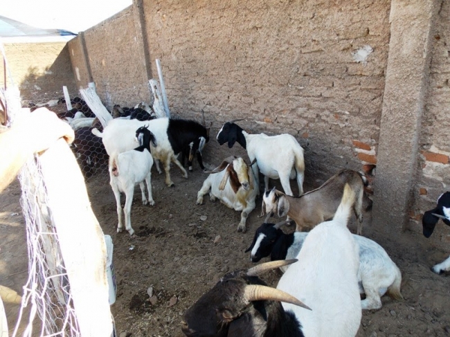 Fronteiras realiza com sucesso o 1º Front Berro - Imagem 11