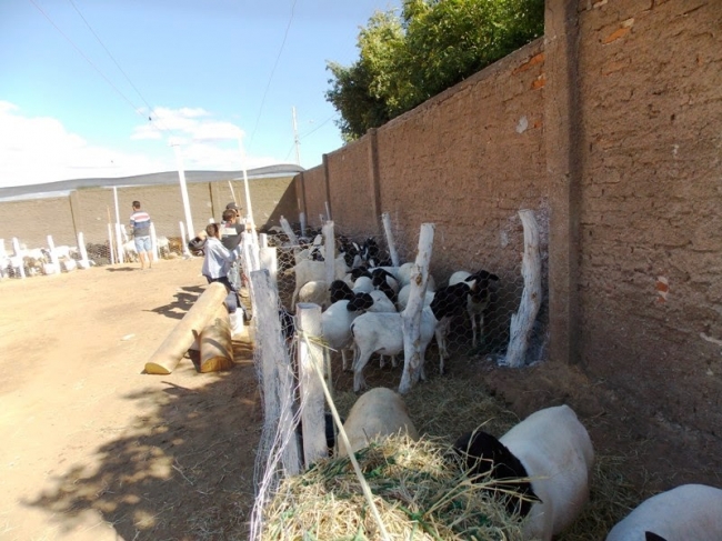 Fronteiras realiza com sucesso o 1º Front Berro - Imagem 10