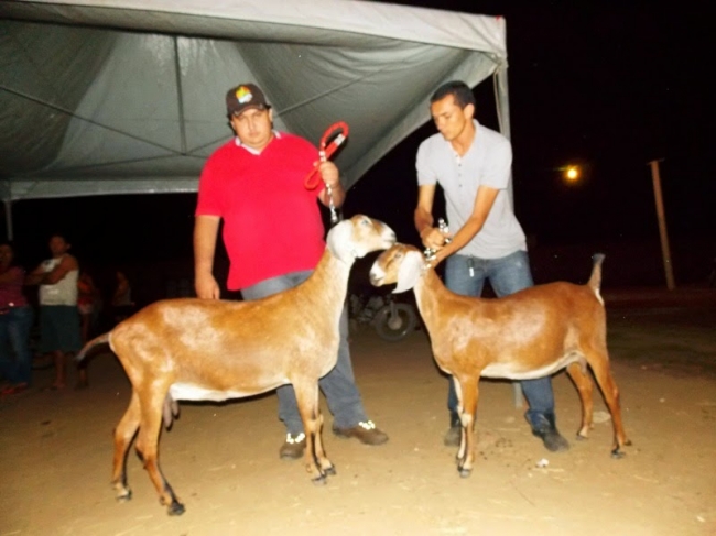 Fronteiras realiza com sucesso o 1º Front Berro - Imagem 4