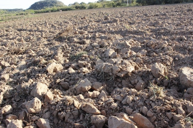 Prefeita Dra. Salete Rêgo visita agricultores na localidade caraíbas - Imagem 31