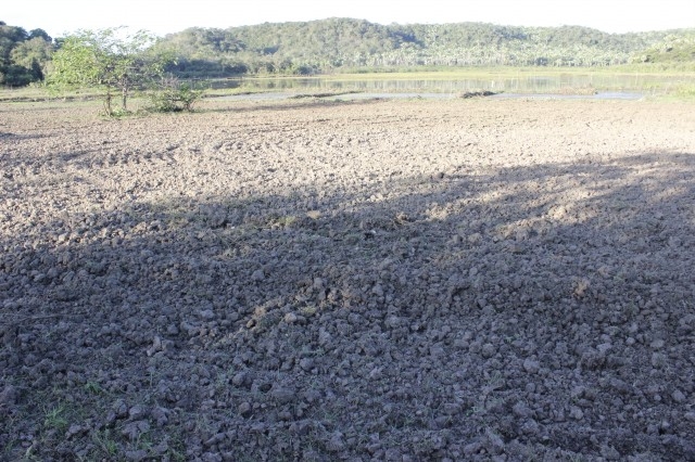 Prefeita Dra. Salete Rêgo visita agricultores na localidade caraíbas - Imagem 29