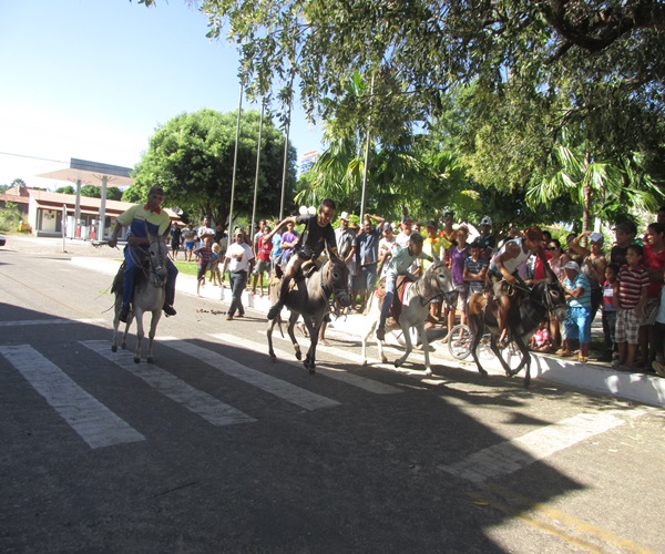 XXIV Semana Cultural: Corrida de Jegue