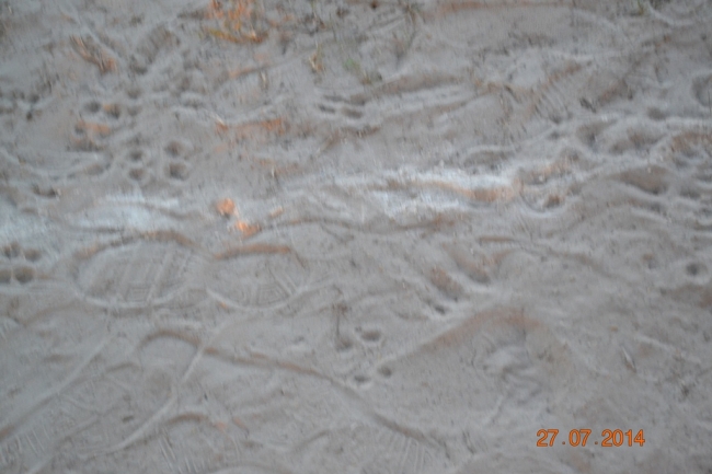 Boa Hora vence Sigefredo Pacheco na estréia da Copa da Amizade - Imagem 10