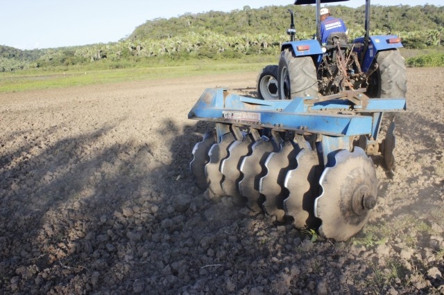 Prefeita Dra. Salete Rêgo visita agricultores na localidade caraíbas - Imagem 27